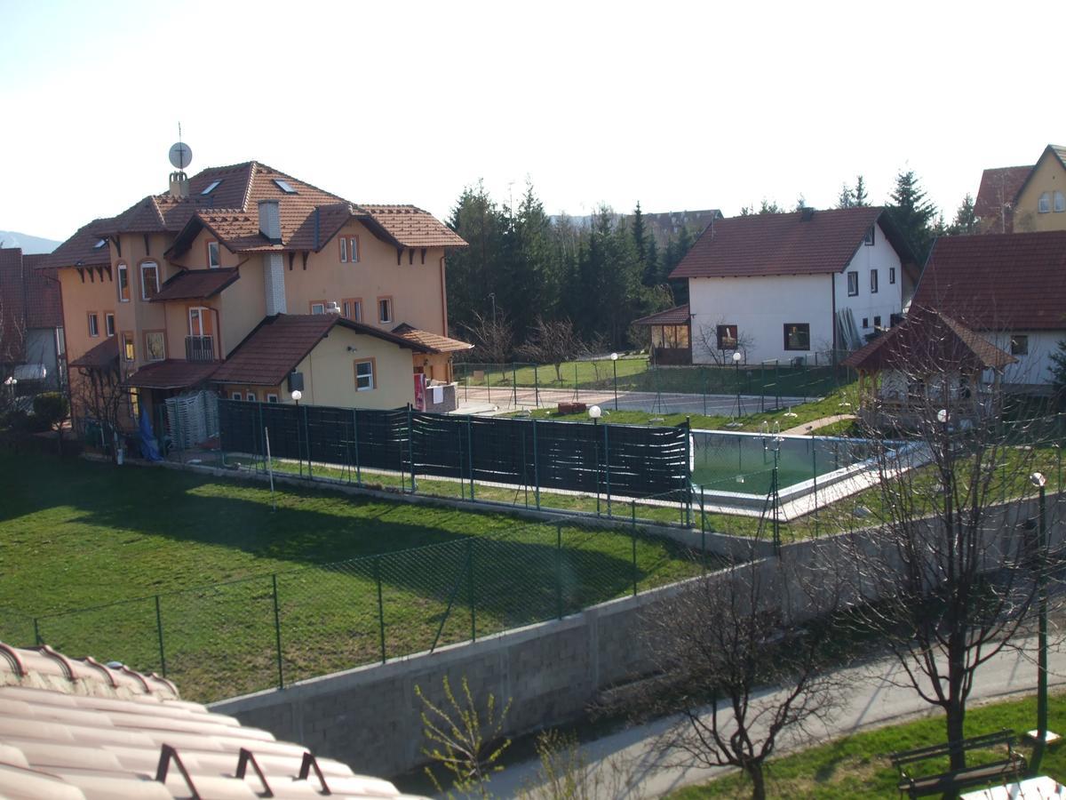 Joca * Zlatibor